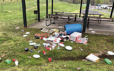 Vandals hit Warfield Park