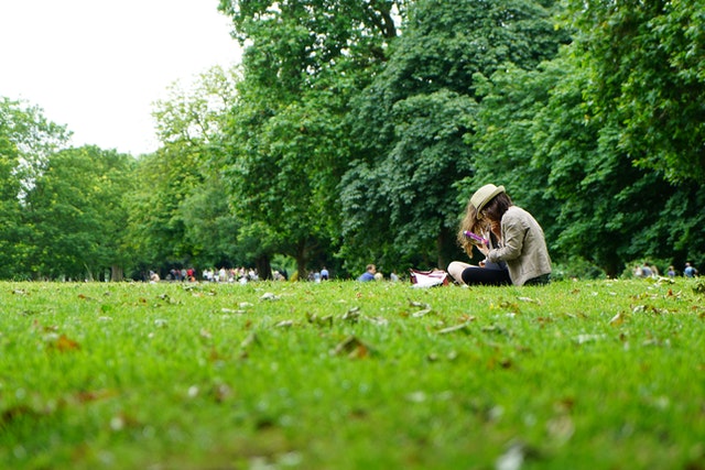 A Day at the Park bigger than ever