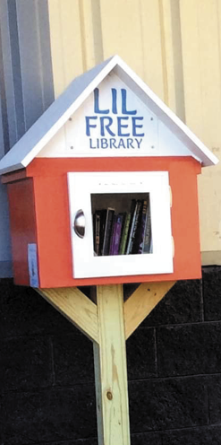 Book Worms create Lil Free Library - The Mountain Citizen