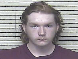 Man arrested for rape of juvenile, sex crimes against animals
