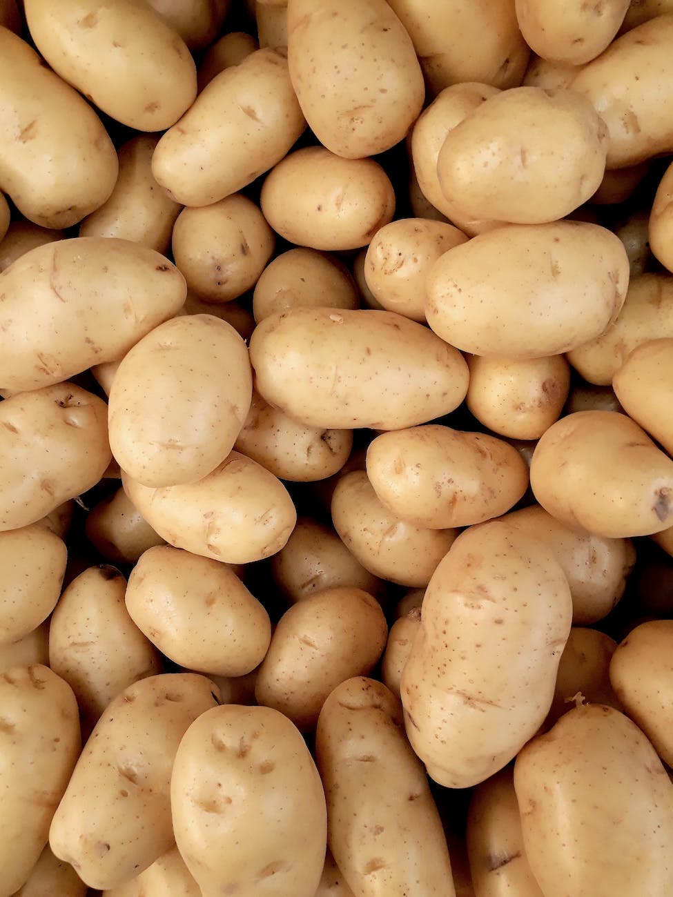 Free potatoes Saturday