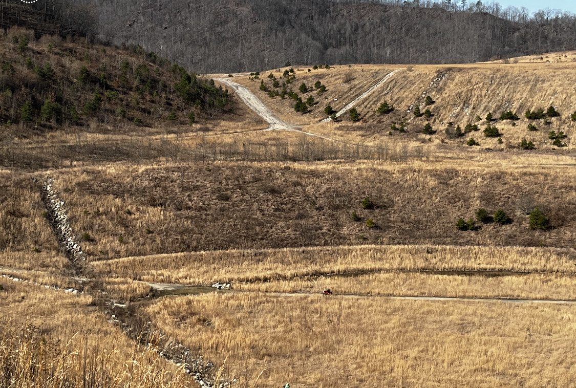 Thousands of trees coming to Lovely