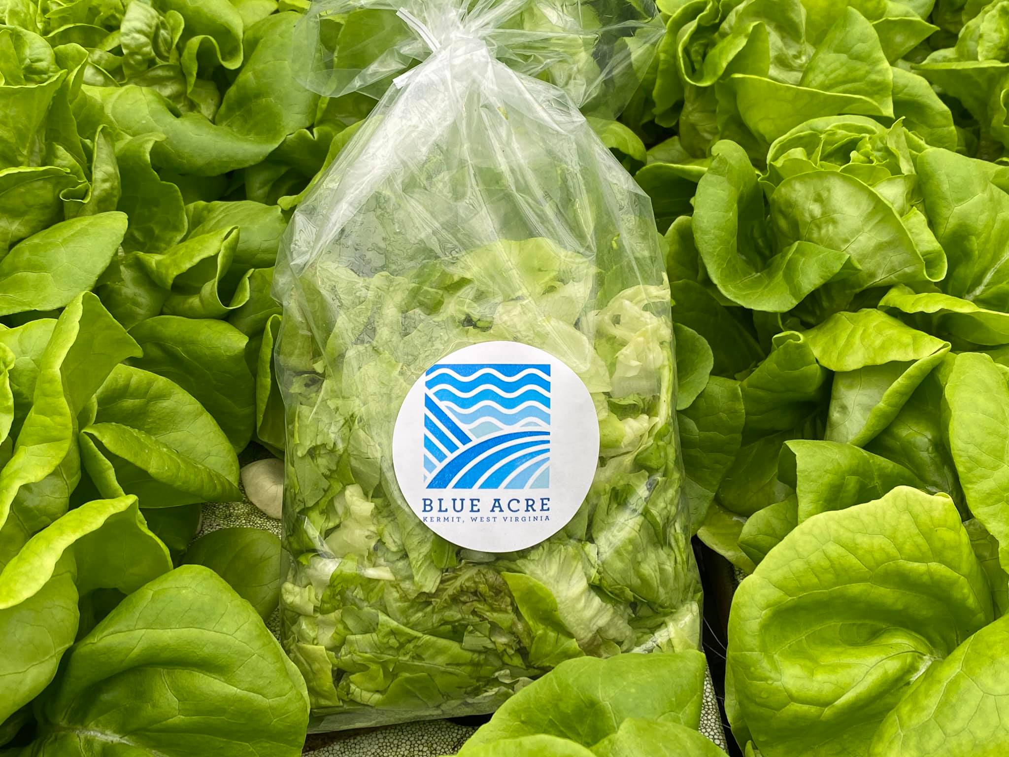 Blue Acre offers locally grown greens and fish