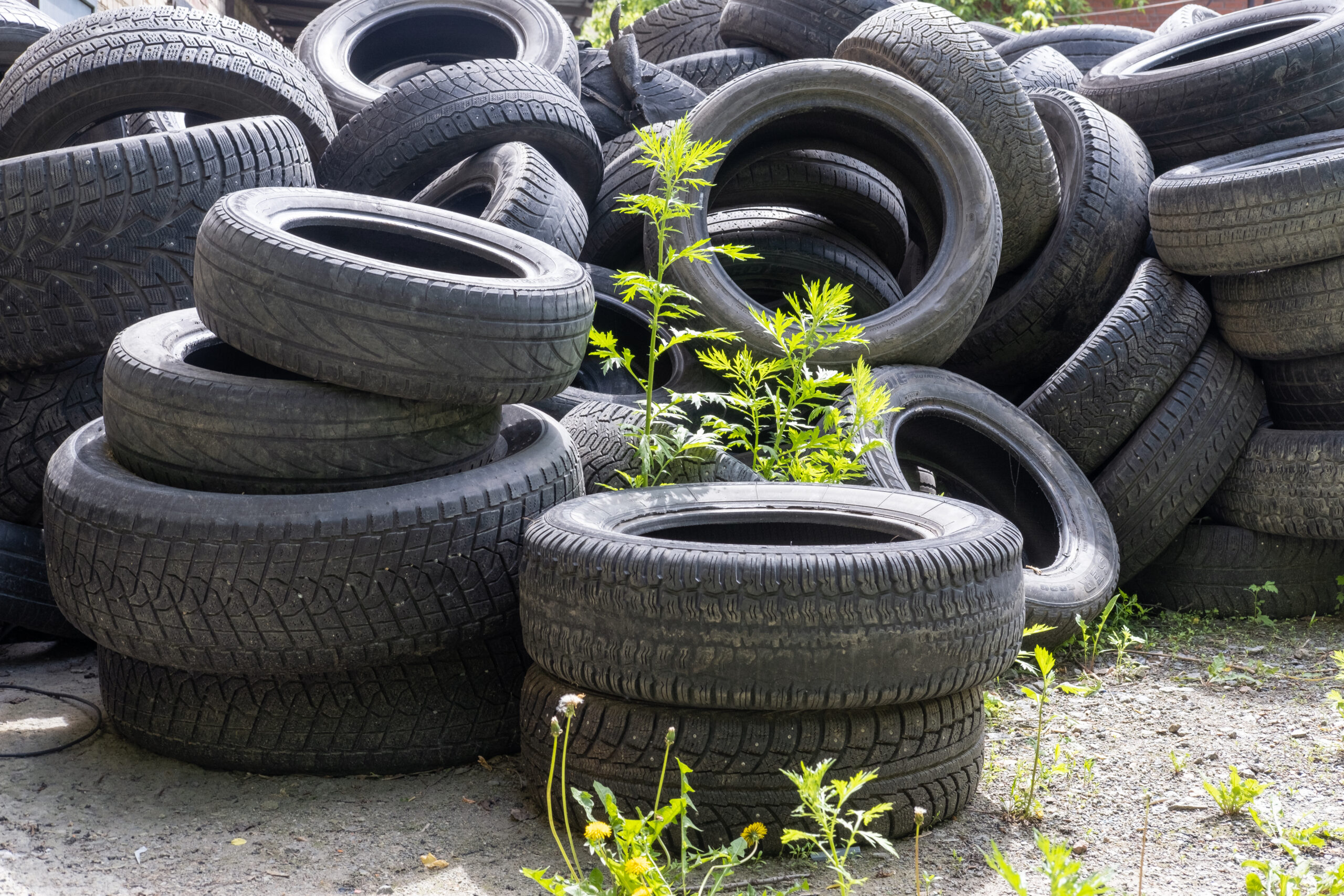 Get rid of your waste tires for free