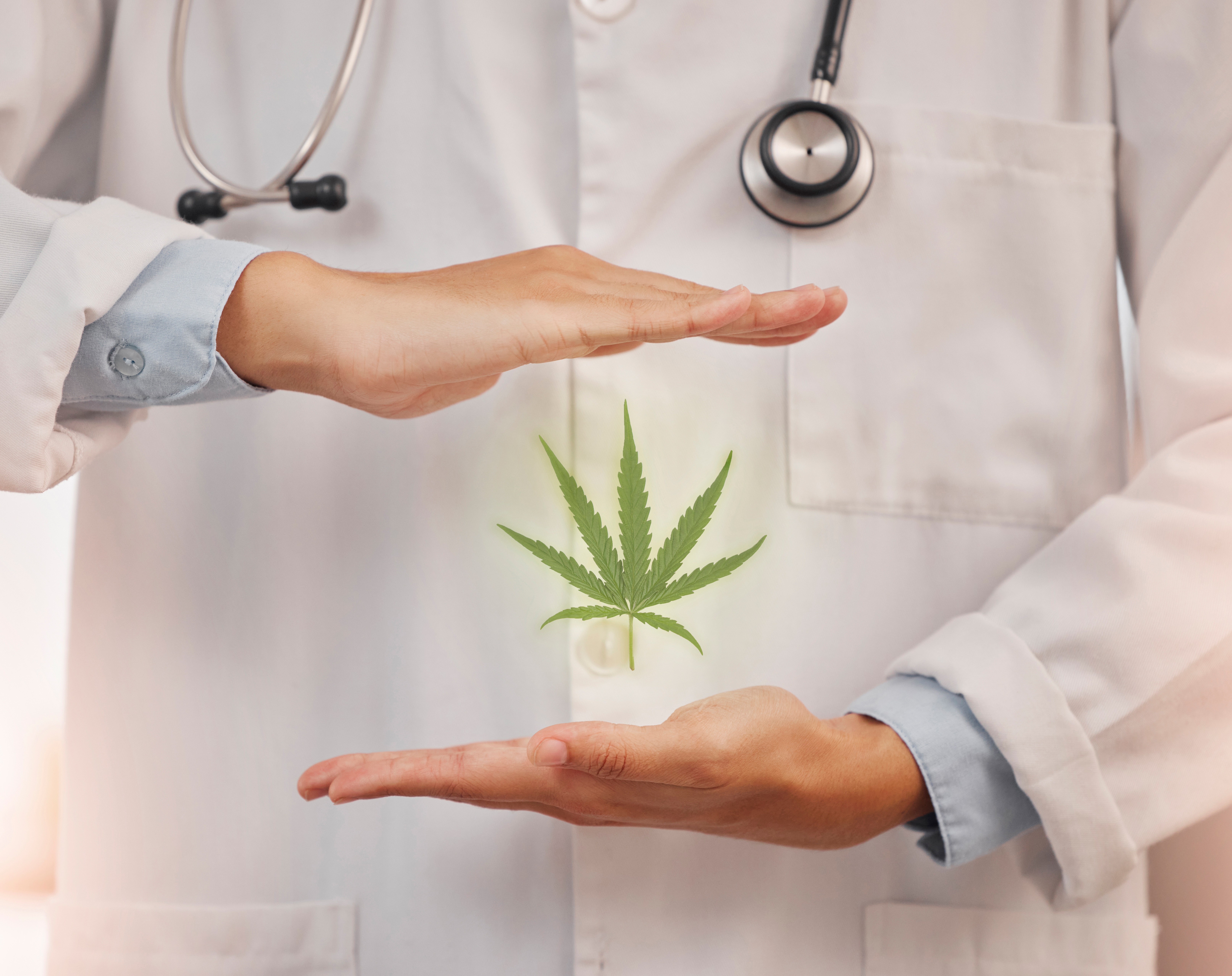 Medical cannabis bill passes Senate, awaits House vote March 30