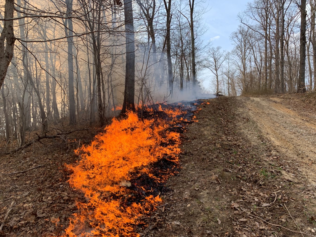 Spring forest fire hazard season continues in Kentucky and West Virginia