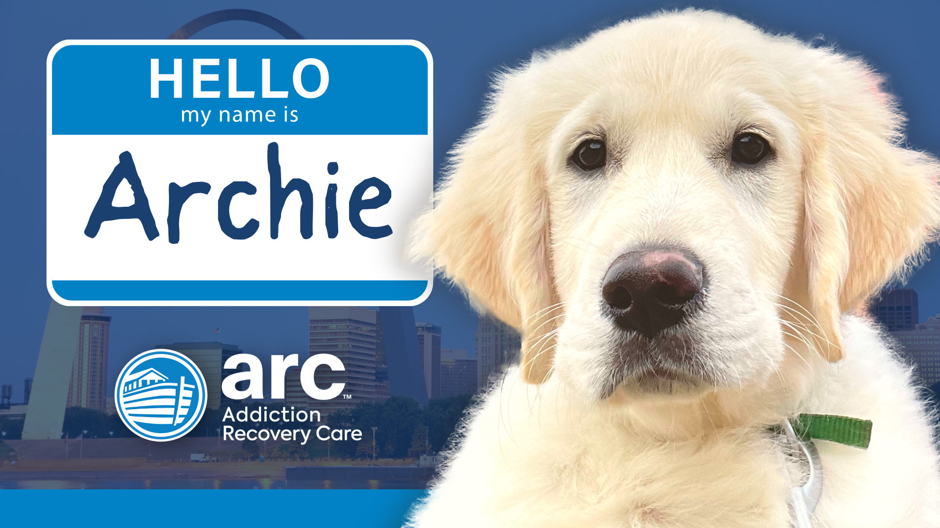 Puppy hired as chief comfort officer at ARC