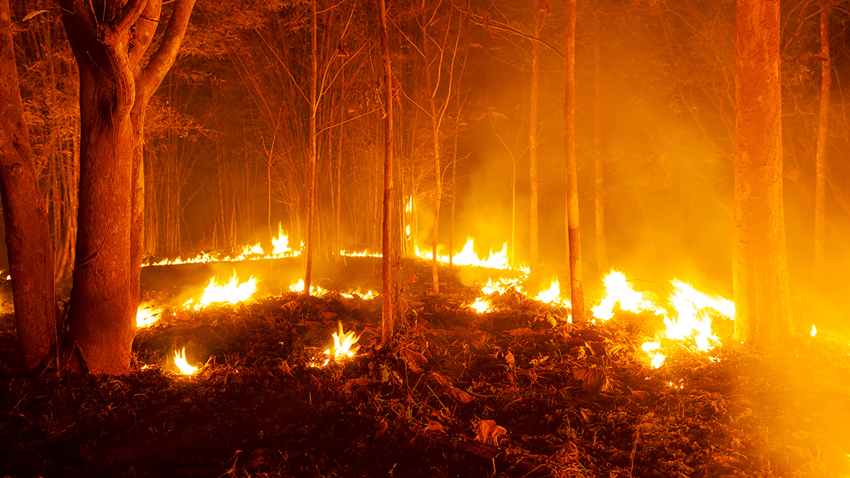 Wildfire hazard season restricts outdoor burning between 6 a.m. and 6 p.m.