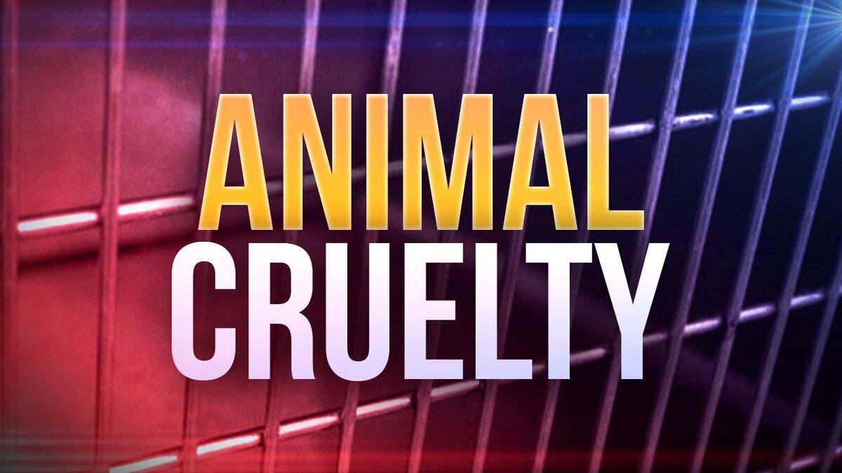 Tomahawk woman cited for cruelty to animals for neglecting dogs