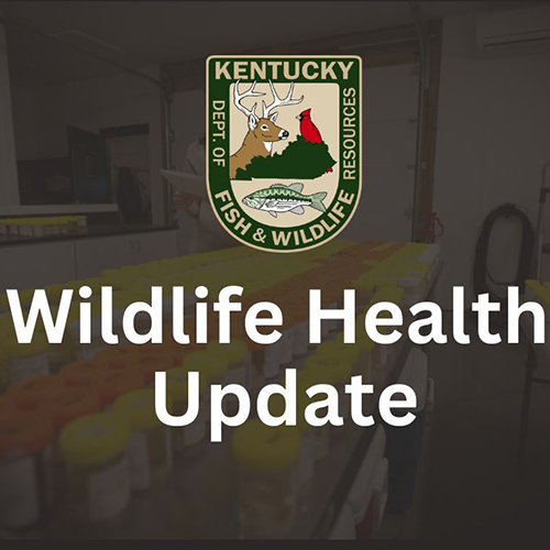 Chronic wasting disease confirmed in Kentucky for first time