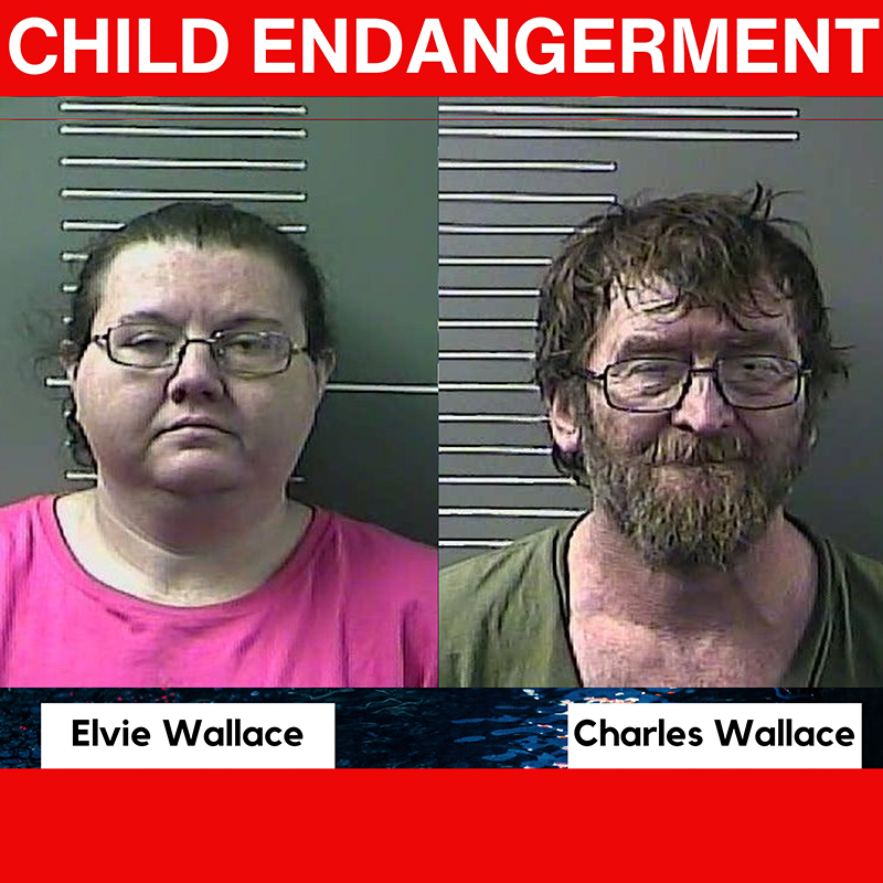 Couple arrested for child endangerment and criminal abuse