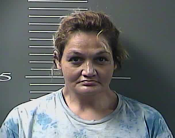 Williamson woman indicted on drug charges