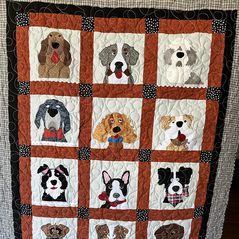 Sew n Sew Quilters stitch raffle quilt for animal rescue