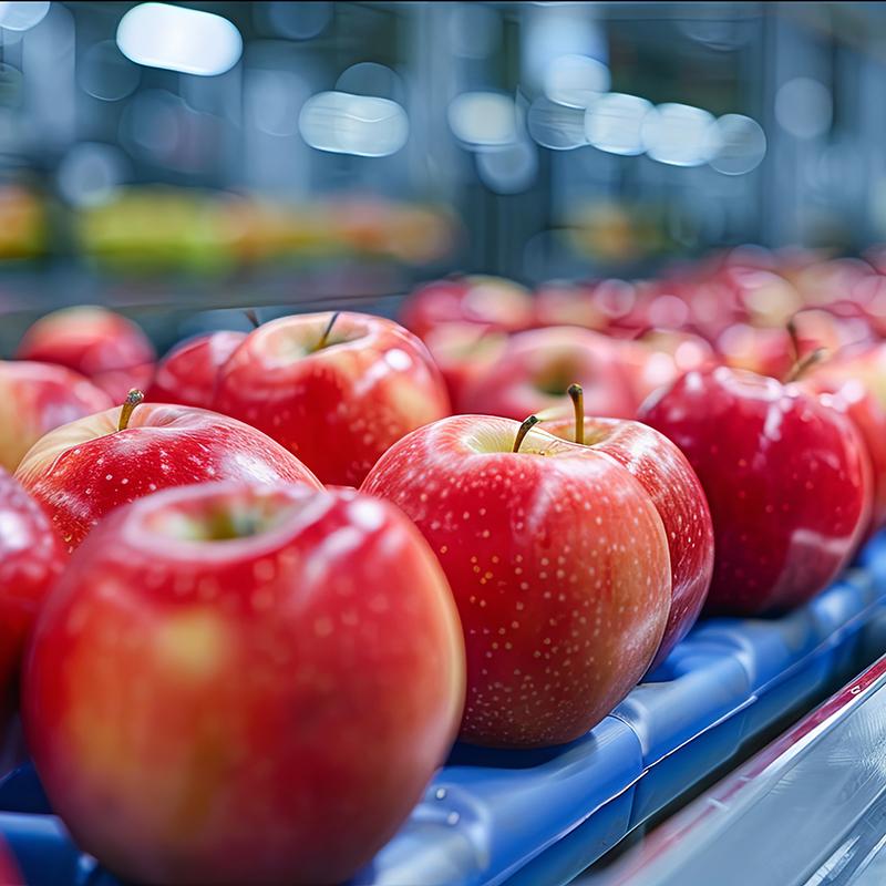 U.S. Department of Commerce invests $752,000 to support apple sorting facility in Martin County