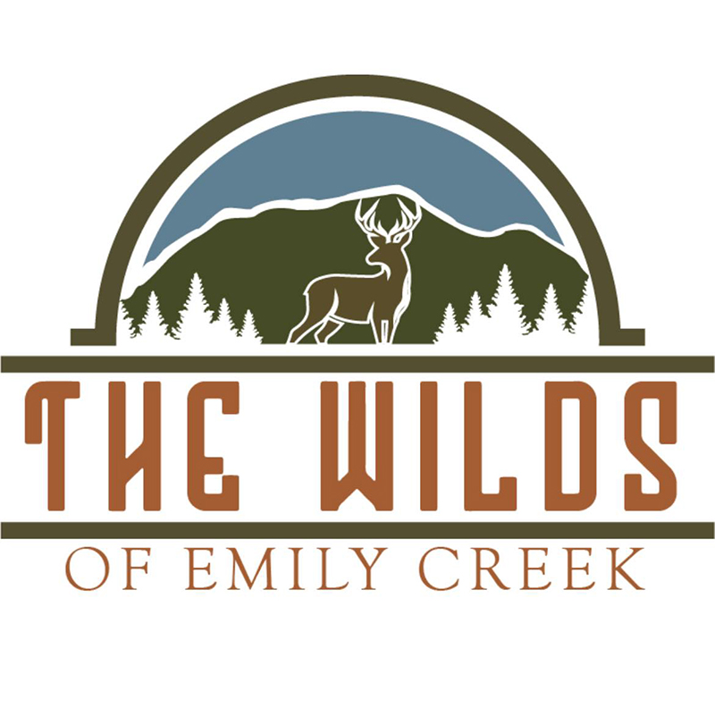 Community discussion to focus on ecological restoration at The Wilds of Emily Creek