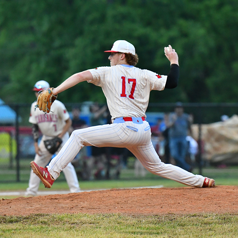 Cardinals end season at paws of Tigers