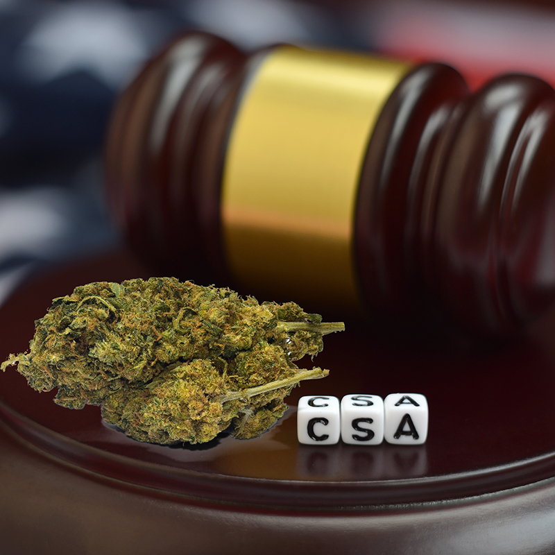 Attorney General initiates reclassification of marijuana from Schedule I to Schedule III