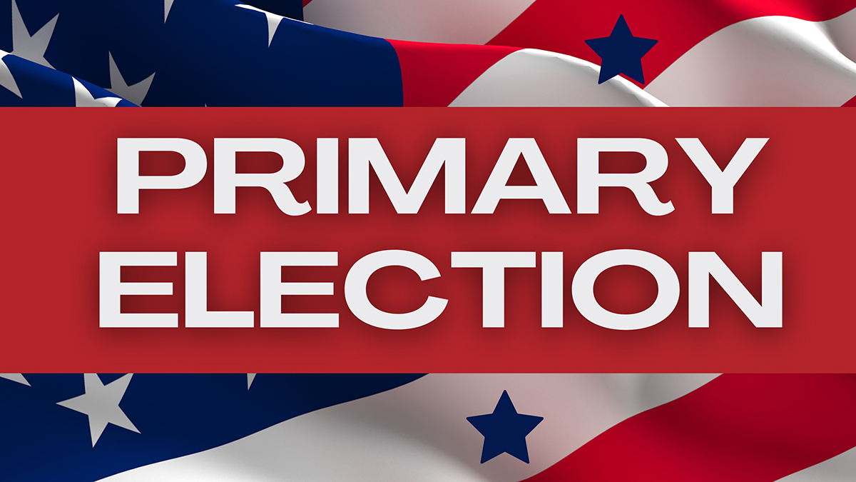 Primary election results for Mingo County