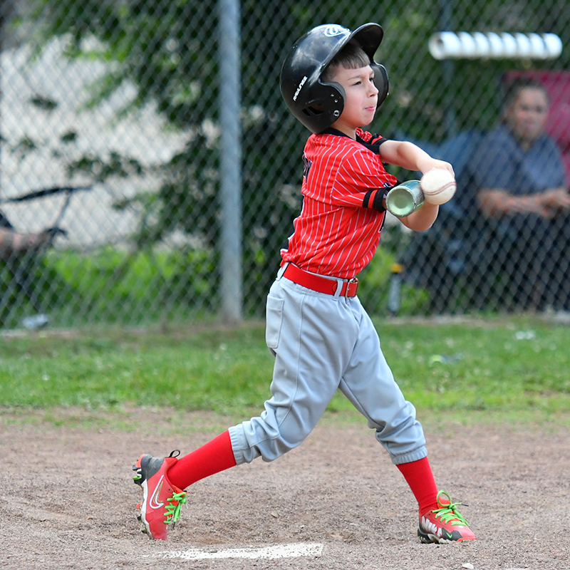 Diamond Dawgs bounce back to win championship