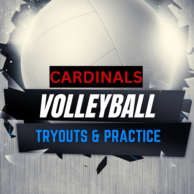 Volley Cards begin practice July 15