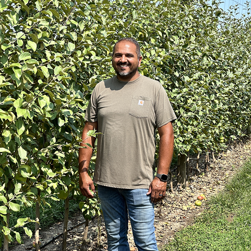 Reclaimed coal mine site flourishing as apple orchard in Davella