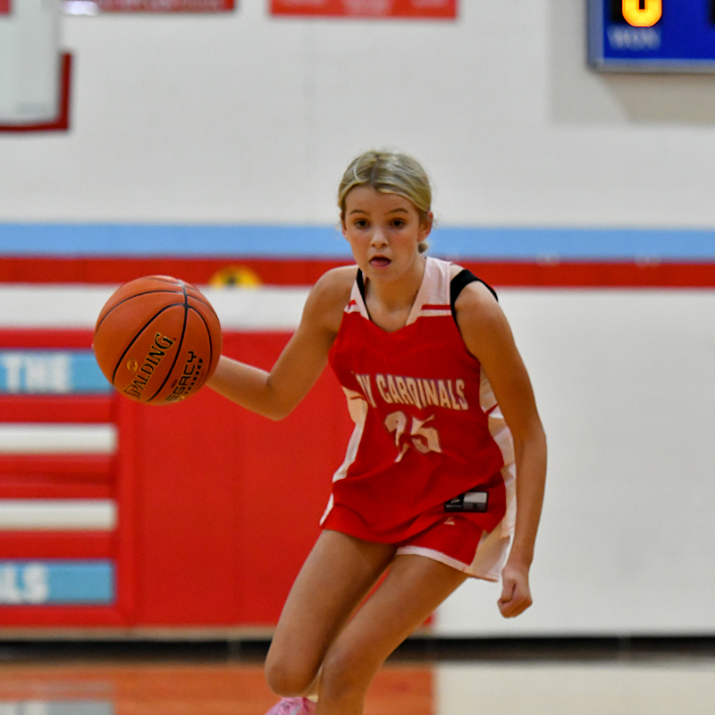 MCMS Lady Cards begin season