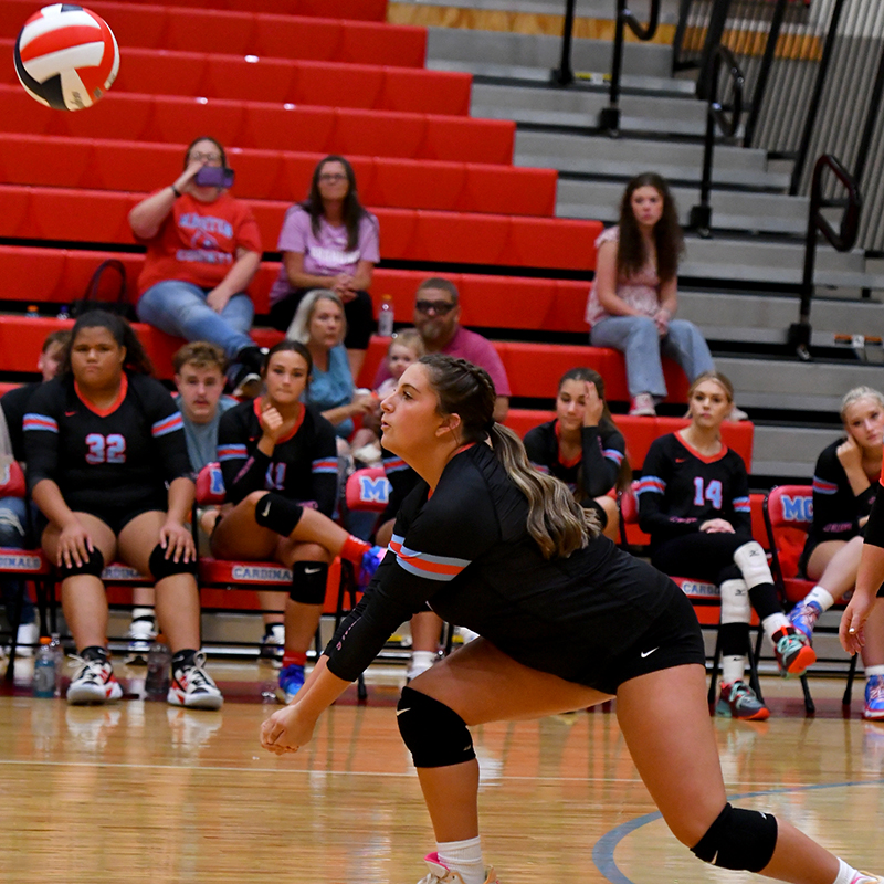 Volley Cards off to hot start