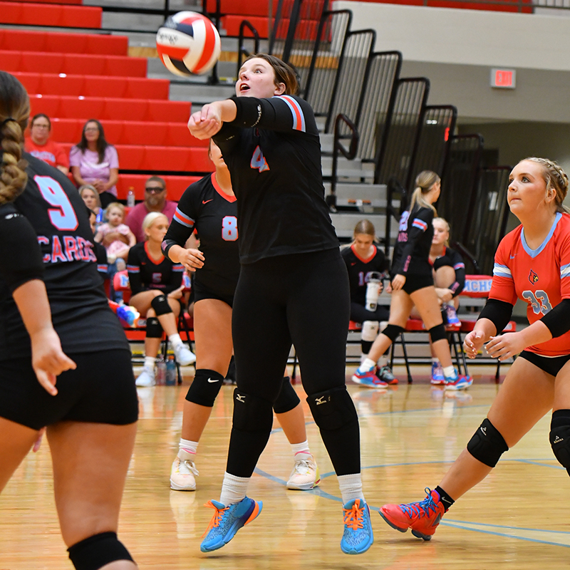 Volley Cards win scrimmage