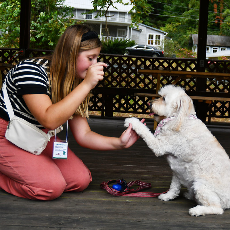 4-H hosts Harvest Festival Pet Show