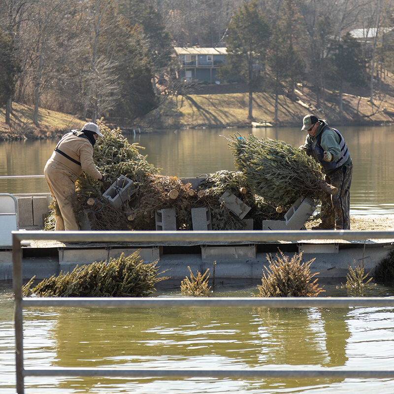 Send holiday wishes to Kentucky fishes