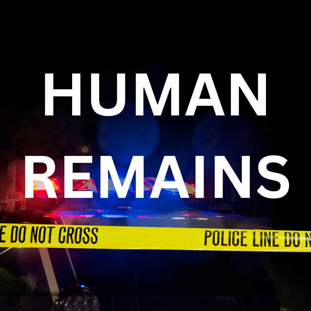 Authorities investigating discovery of human remains in Mingo County