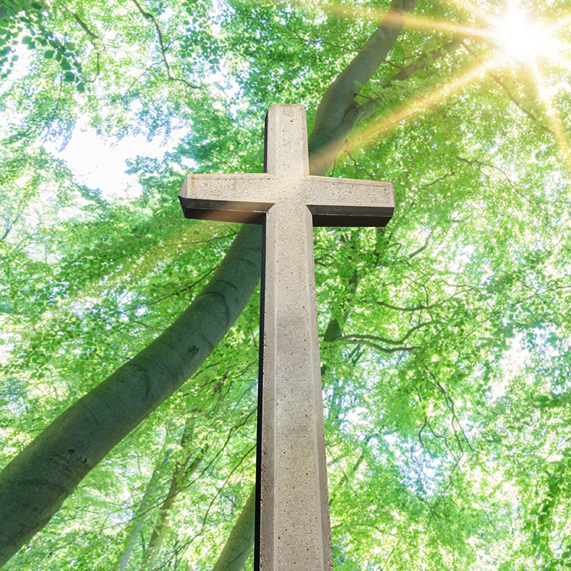 Cornelius W. Hall Obituary