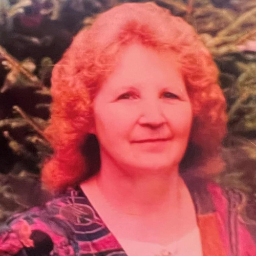 Eva L. ‘Daisy’ Parsley Fields Obituary