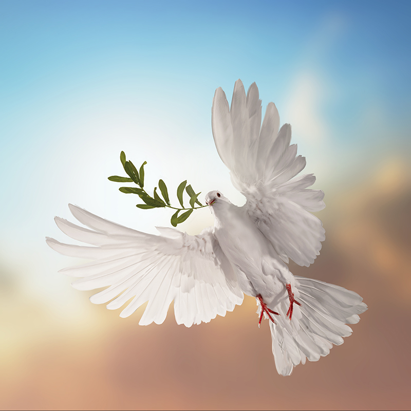 Marsha Lynn Marcum Hall Obituary