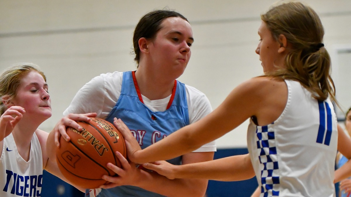 Lady Cards have solid week