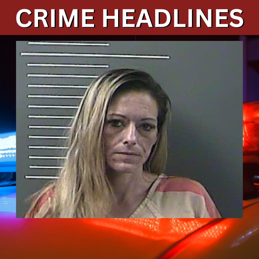 Burglary call in Pilgrim lands woman in jail