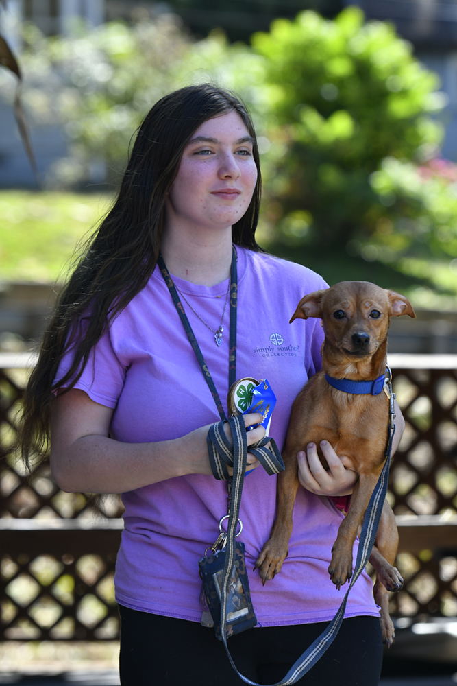 Furry friends steal the spotlight at 4-H Pet Show