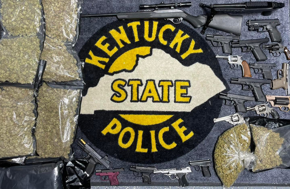 Troopers seize large quantity of drugs, 22 guns in Hardy drug raid