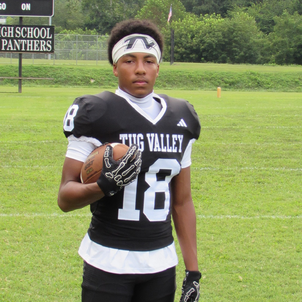 Tug Valley Panthers clawed by Logan Wildcats