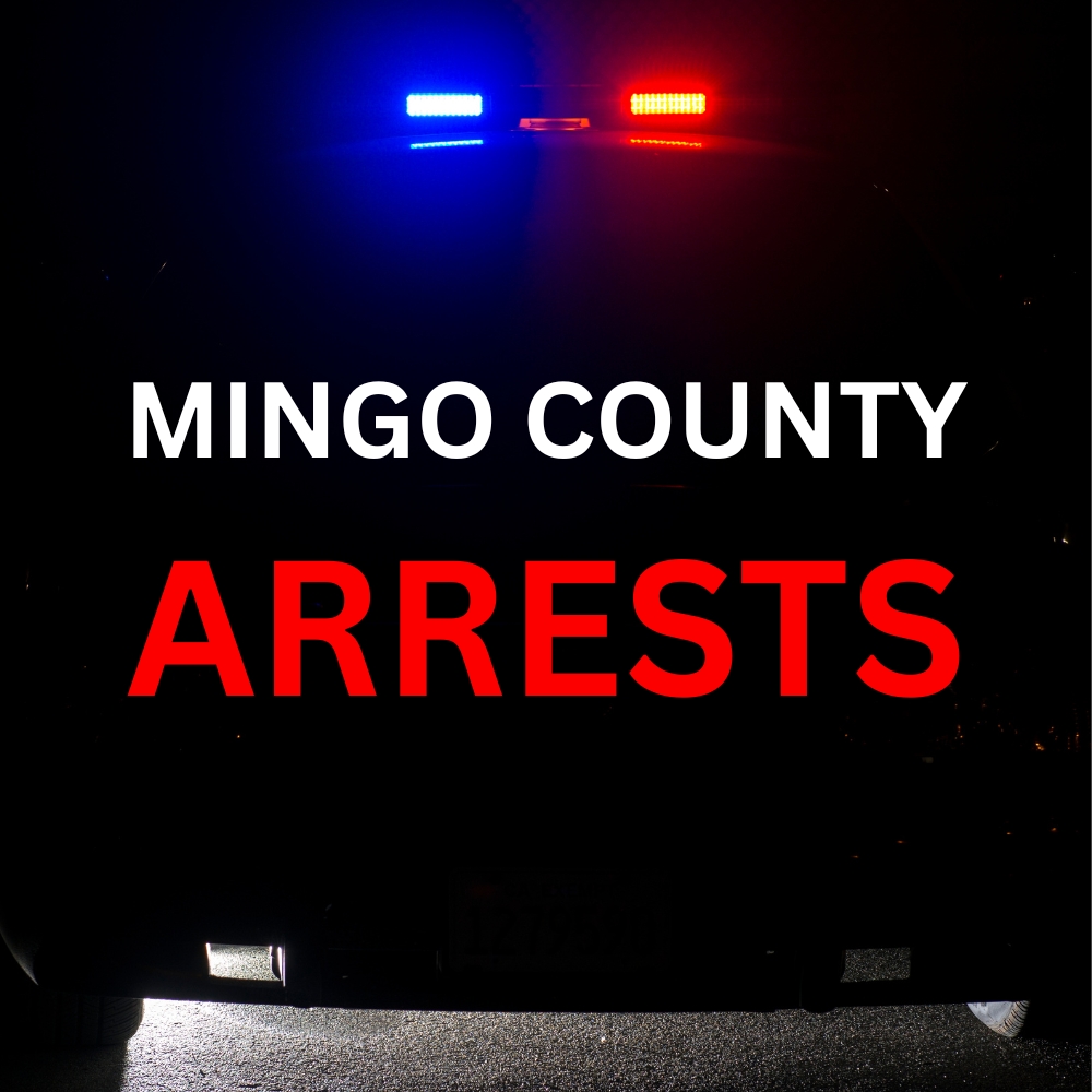 Mingo County arrest report week of Oct. 19
