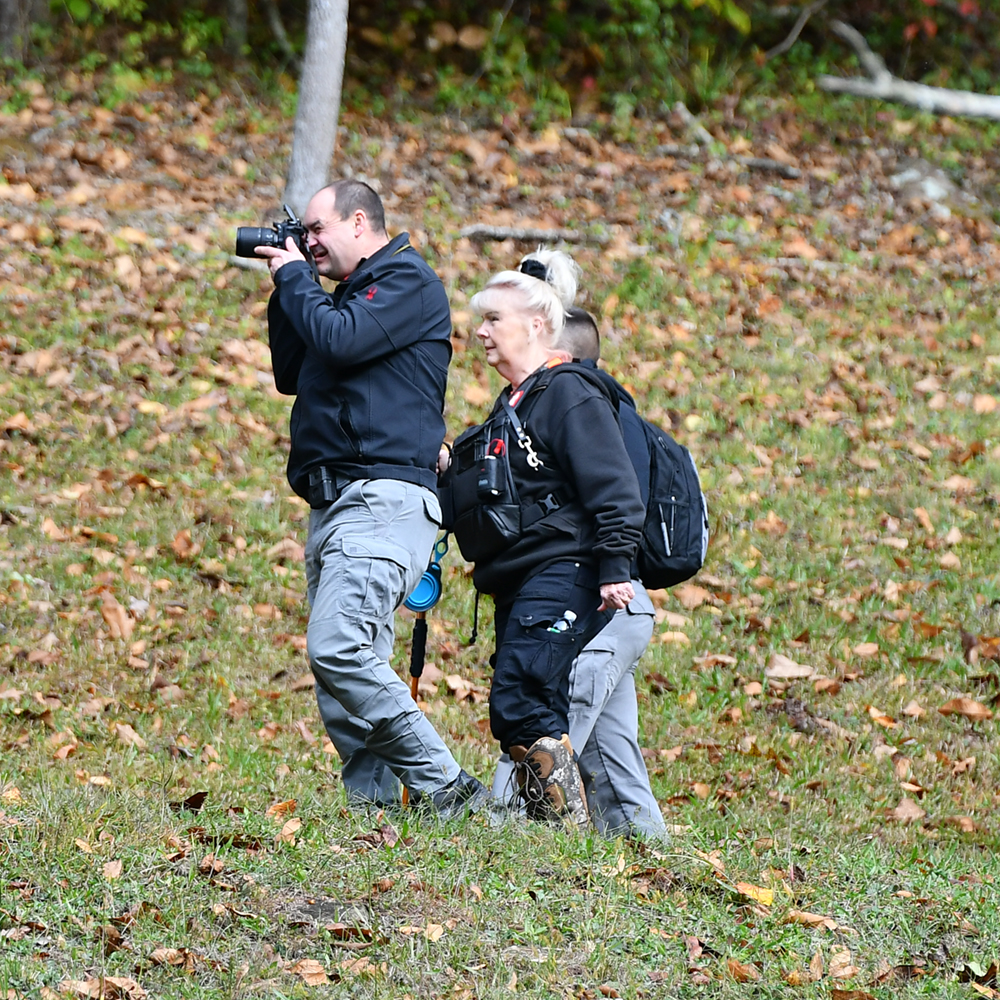 Detectives return to scene in human remains case