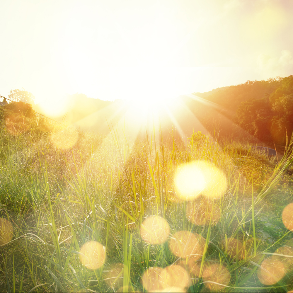 Sunshine only stings when it lands on something never meant to be seen