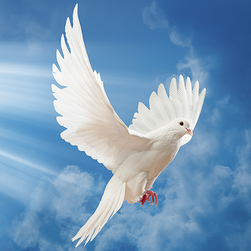 Jessica Michelle Scott Fowler Obituary