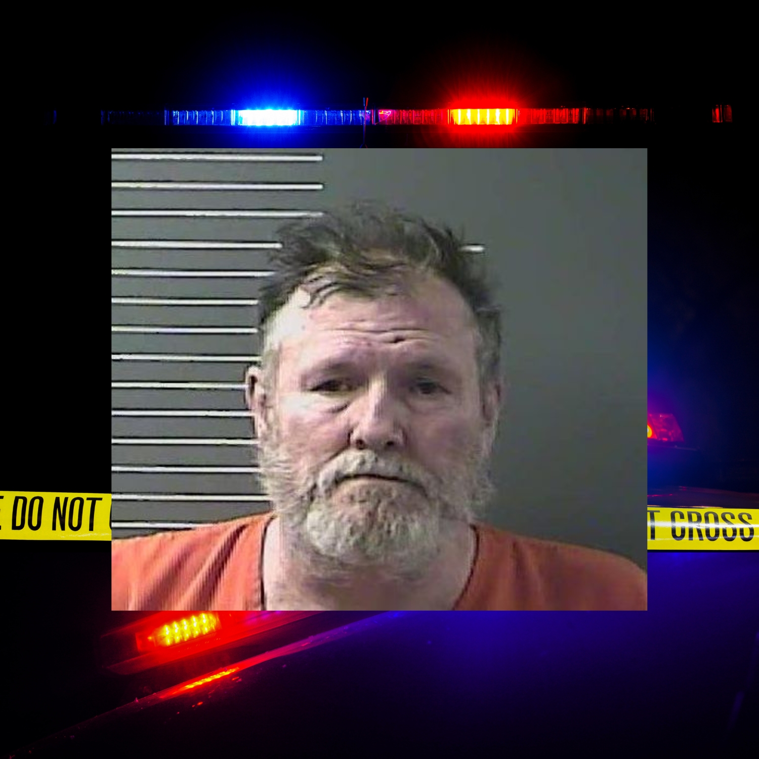 Pilgrim man jailed after alleged violent domestic assault