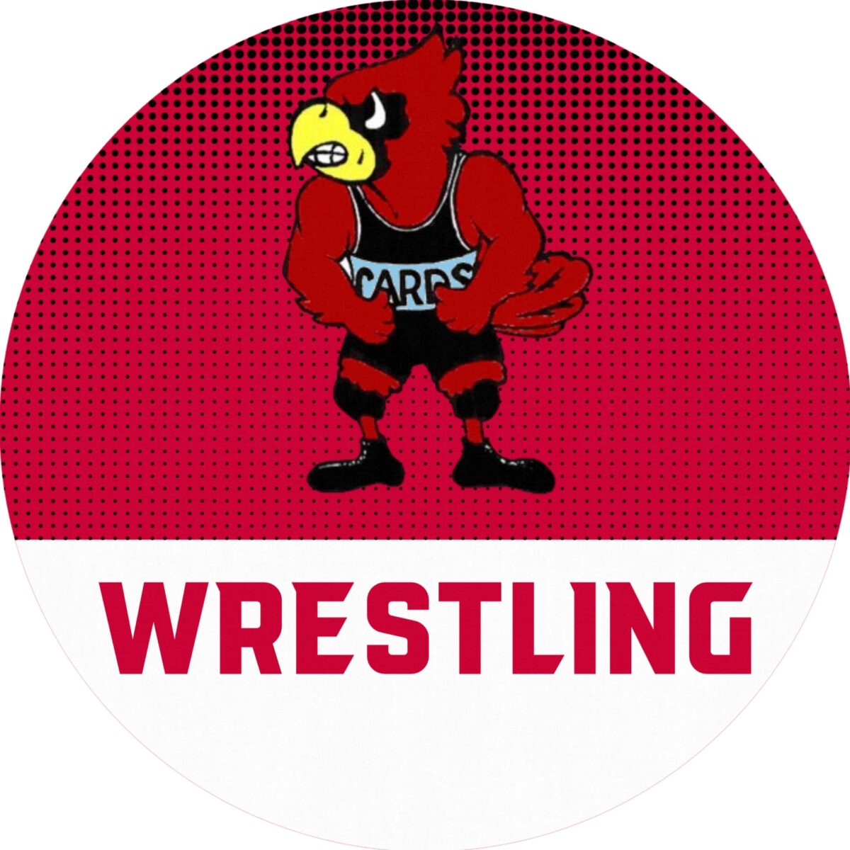 Martin County Youth Wrestling claims third at Hatfield-McCoy