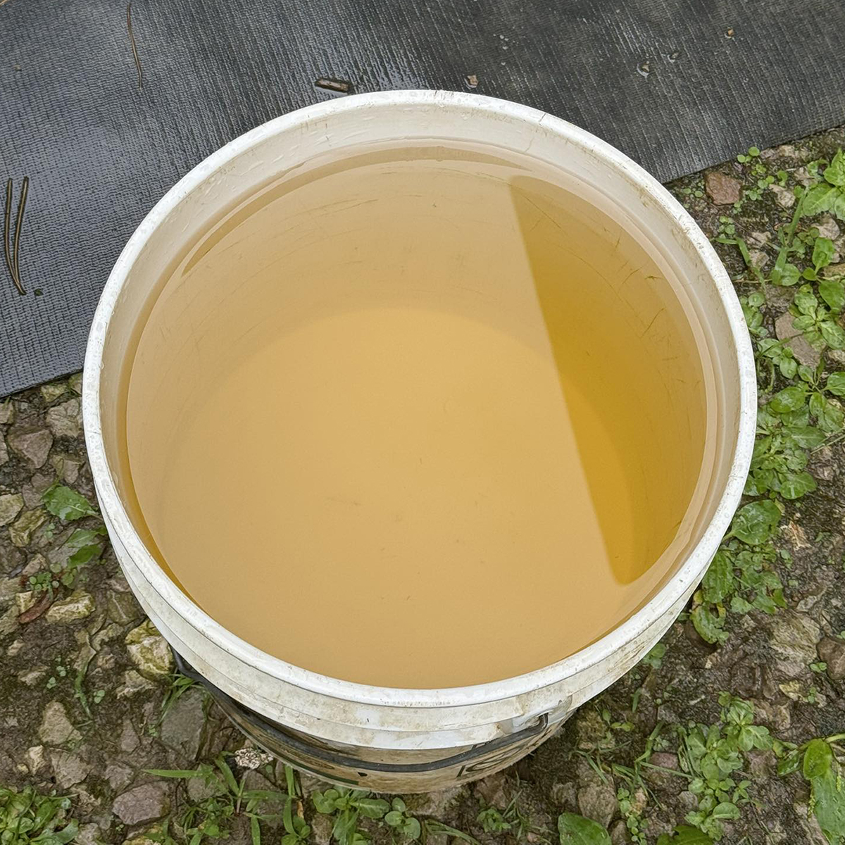 Brown water, corrosive truth: Engineers trace July 2025 crisis to mineral imbalance in river