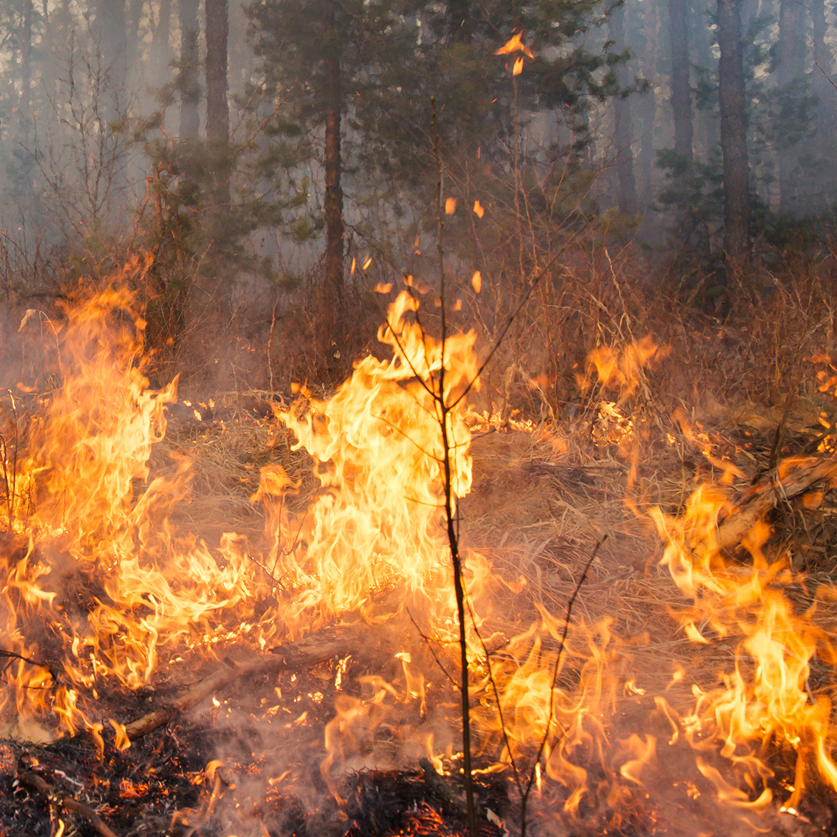 Spring wildfire hazard season begins