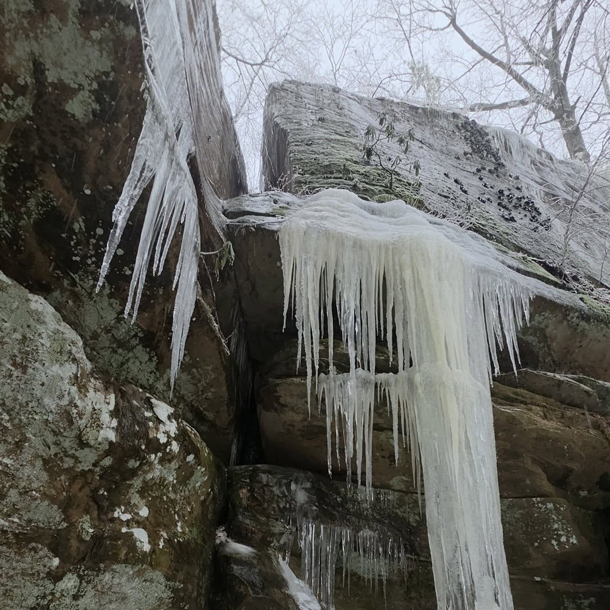 Winter Storm Fern death toll in Kentucky rises to 16; Martin County reports no fatalities