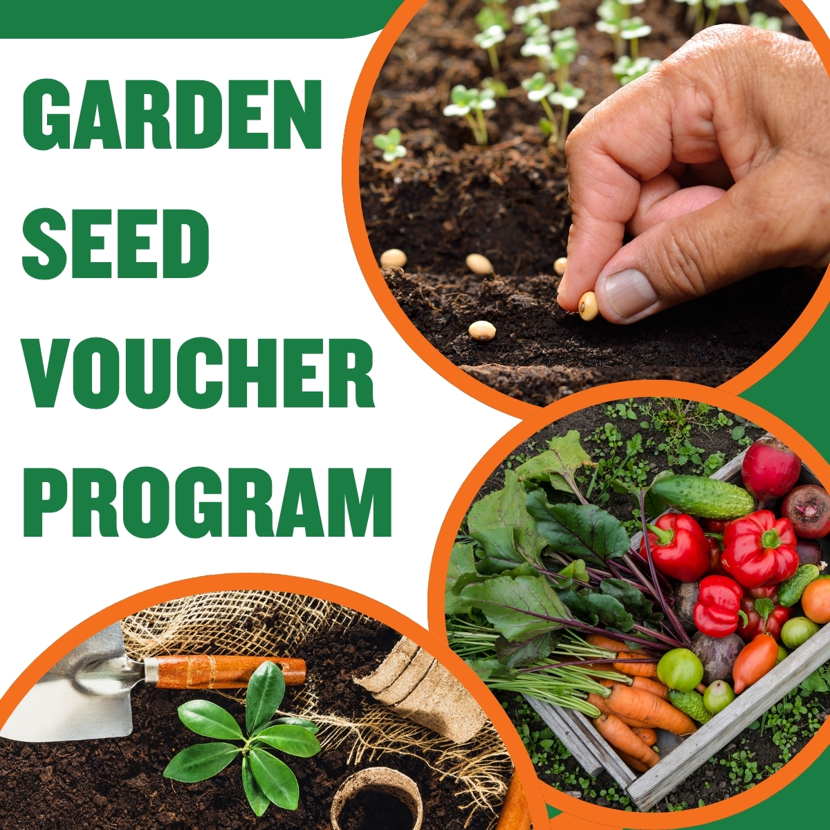 Garden seed vouchers available April 6-10 through Big Sandy Area CAP