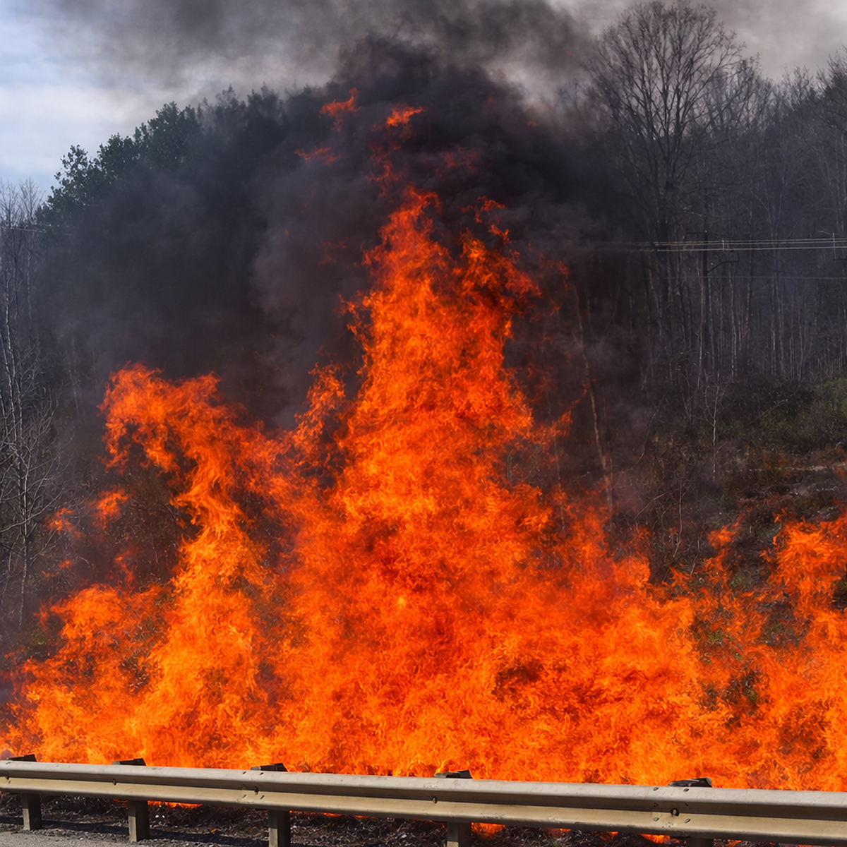 Wildfires scorch hundreds of acres across Martin County